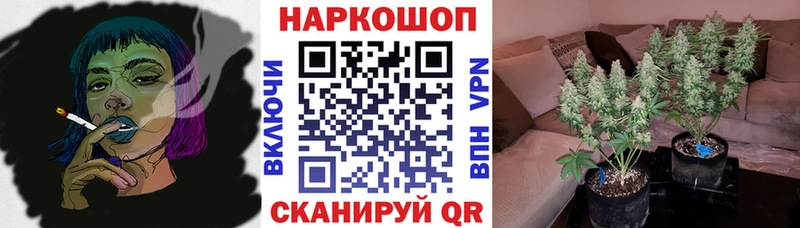 Какие есть наркотики Шумиха kraken ONION  КОКАИН  Меф мяу мяу  СОЛЬ  Бошки Шишки  ГАШ 