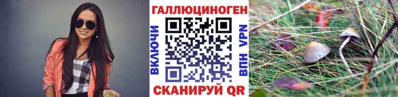 blacksprut ссылка  Шумиха  Галлюциногенные грибы ЛСД 